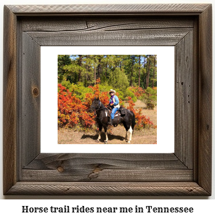 horse trail rides near me Tennessee
